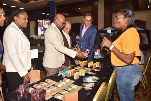 Jamaicans encouraged to tap into lucrative health, wellness market