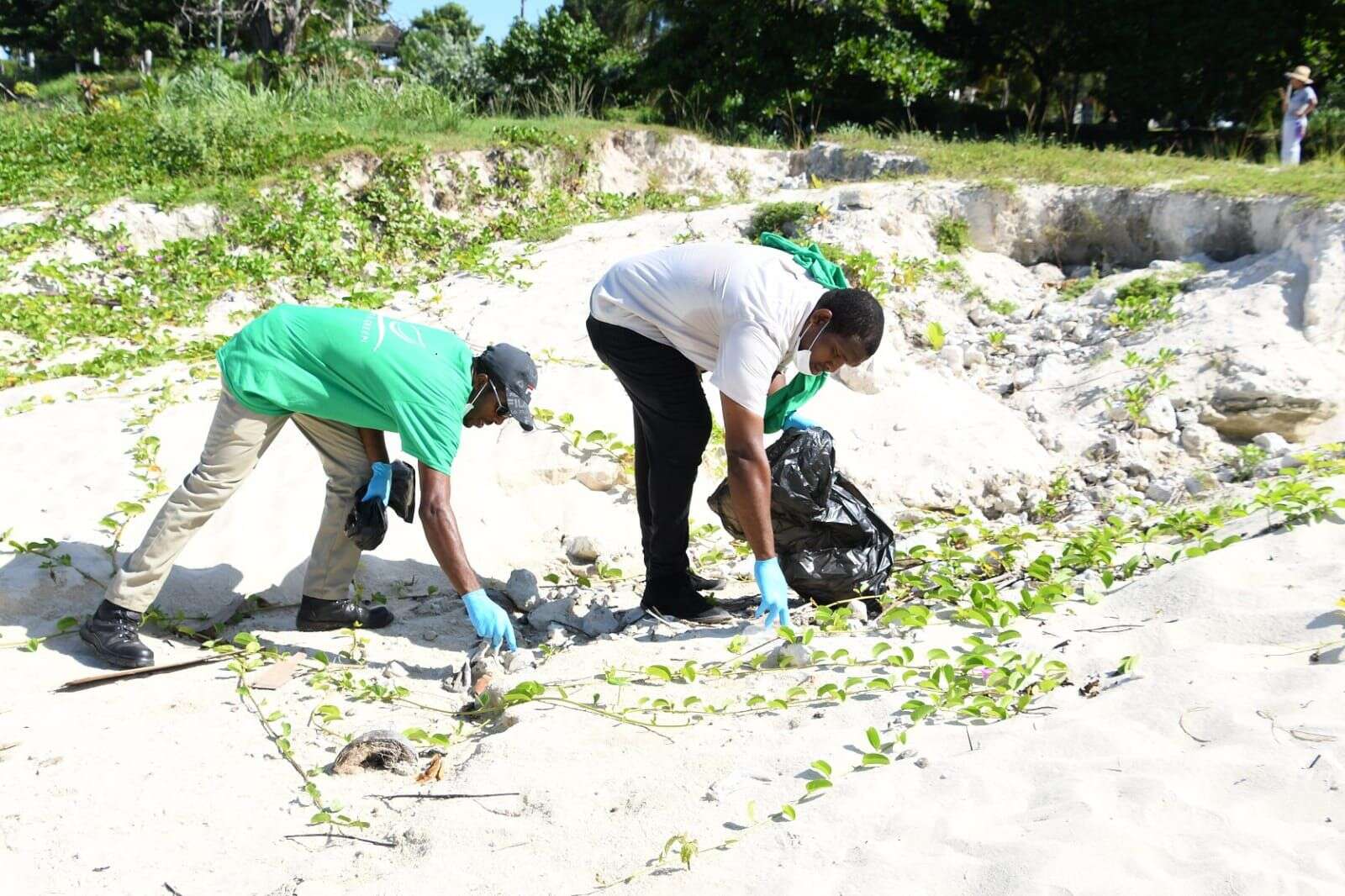 1,500lbs of rubbish cleared from MoBay’s One Man Seaside